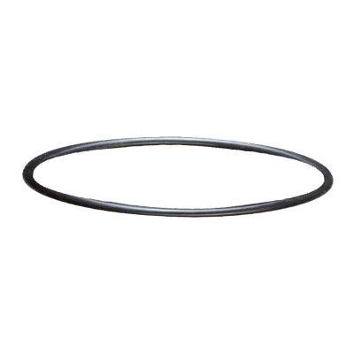 Zaptivka glave filtra Sera fil Bioactive 250, 250 + UV, 400 + UV