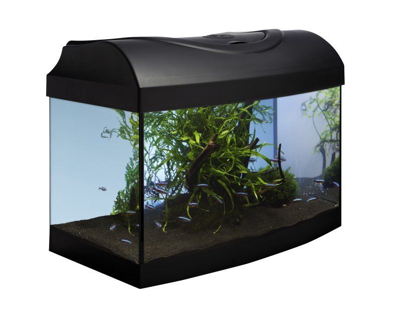 Akvarij 25l+oprema – Diversa STARTUP 40 LED Expert, sa zakrivljenim prednjim staklom, crni, poklopac, rasvjeta, filter, grijač
