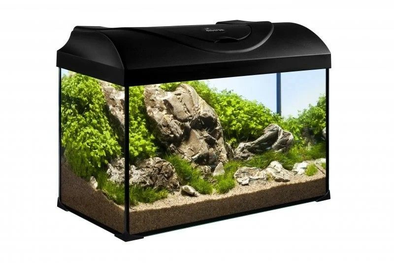 Akvarium STARTUP 50 LED EXPERT 10W - RAVNO - CRNO