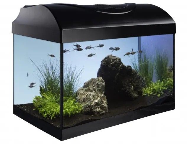 Akvarium STARTUP 60 LED Expert 10W - RAVNO - CRNO