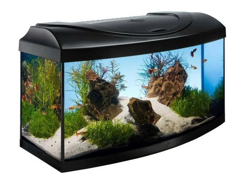 Akvarium STARTUP 60 LED Expert 10W - OBLUK - CRNO