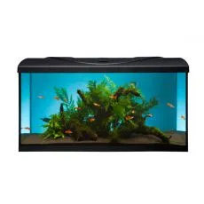 Akvarium STARTUP 80 LED Expert 16W - RAVNO - CRNO