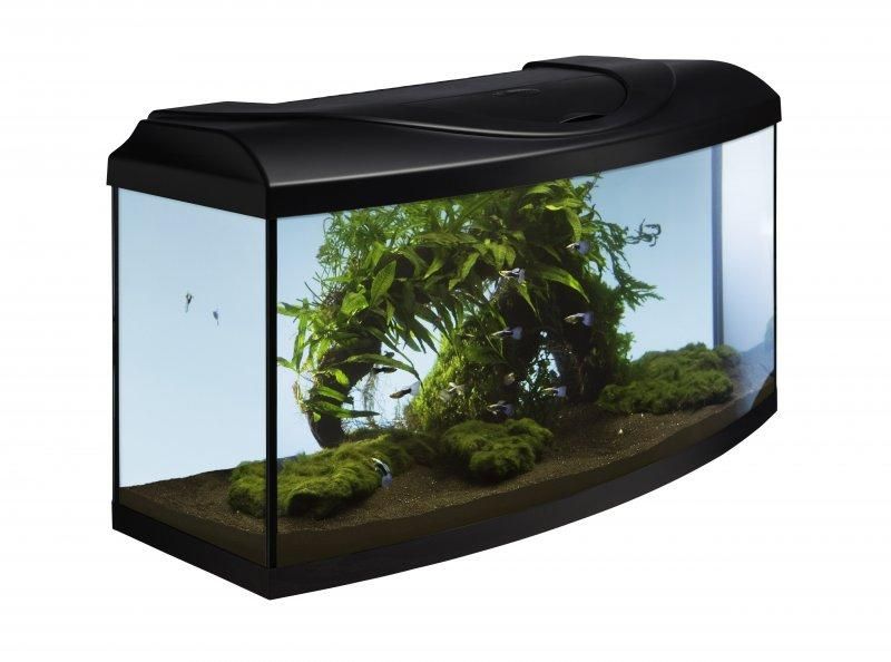 Akvarij 112l+oprema – Diversa STARTUP 80 LED Expert, sa zakrivljenim prednjim staklom, crni, poklopac, rasvjeta, filter, grijač