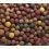 Mivardi Rapid boilies - Multi Mix 10kg
