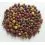 Mivardi Rapid boilies - Multi Mix 5kg