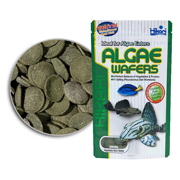 Hikari Alge Wafers 82 g