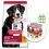 Hill's Science Plan Canine Adult Large Breed Piletina 18 kg + 4 konzerve BESPLATNO