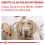 Royal Canin VHN Neutered Adult Medium Dog 9 kg