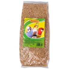 Avicentra Goli jajčani 1 kg