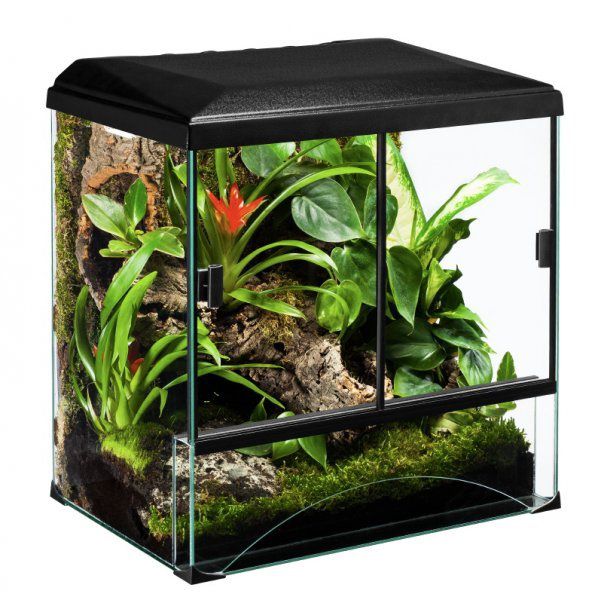 TERRASET 30 FOREST terarij - 30 x 25 x 35 cm