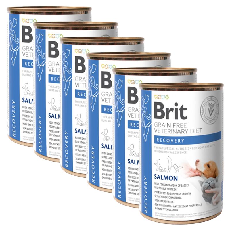 Brit Veterinary Diets GF cat + dog Recovery salmon 6 x 400 g