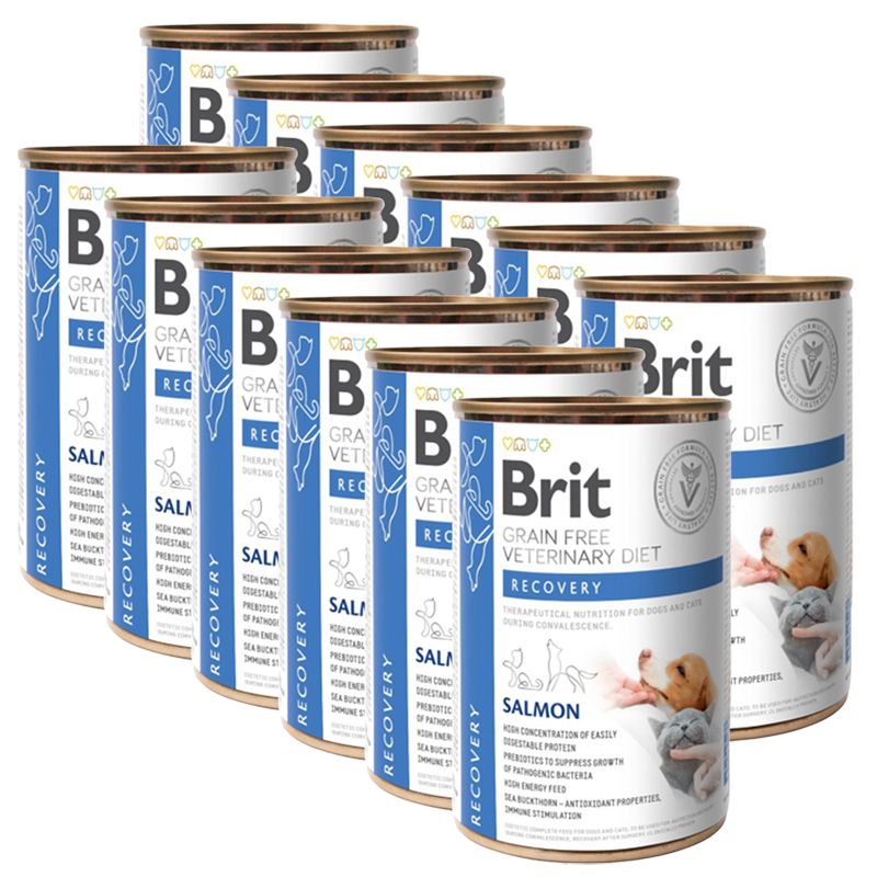 Brit Veterinary Diets GF cat + dog Recovery salmon 12 x 400 g