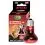 REPTILE NOVA Infracrvena UVA 50 W