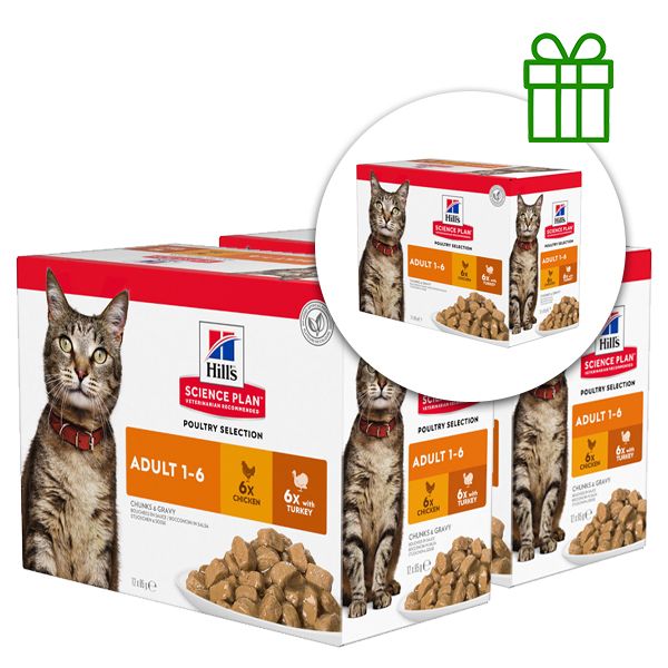 Hill's Science Plan Feline Adult Piletina & Puretina 12 x 85 g, 2+1 BESPLATNO