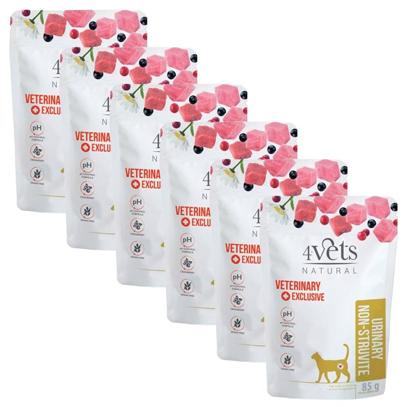 4Vets Cat Natural Veterinary Exclusive URINARY NON-STRUVITE 6 x 85 g