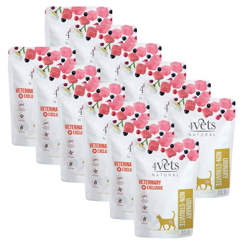 4Vets Cat Natural Veterinary Exclusive URINARY NON-STRUVITE 12 x 85 g
