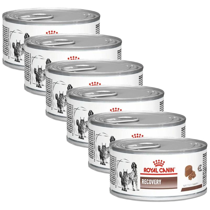 Royal Canin Veterinary Diet Recovery Feline/Canine Can 6 x 195 g