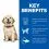 Hill's Science Plan Canine Puppy Large Breed Piletina 2,5 kg