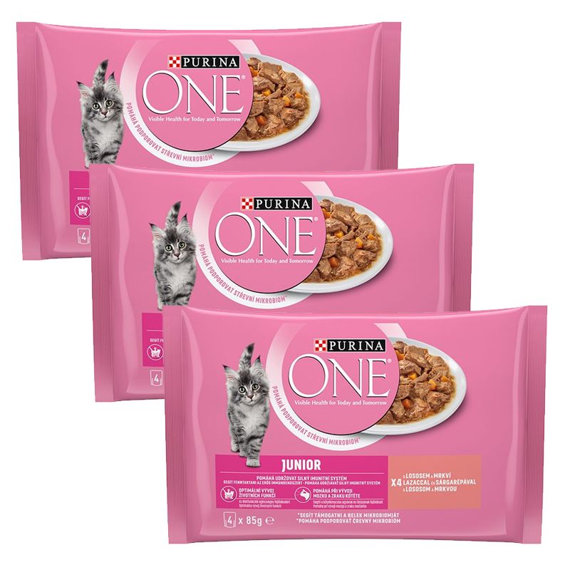 PURINA ONE JUNIOR multibalenie 12 x 85 g