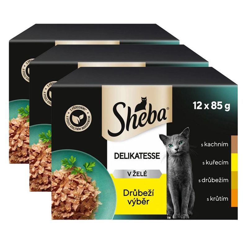 Sheba Delikatesse Konzerva piletina u želeu 3 x (12 x 85g)
