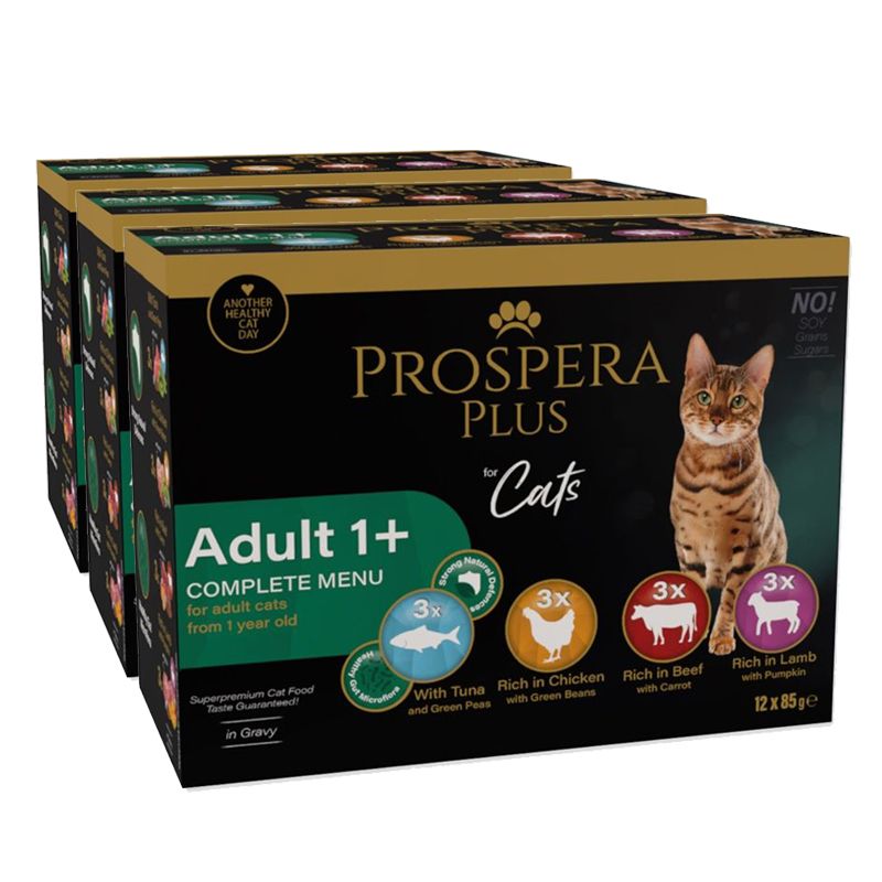 Prospera Plus Adult 1+ konzerva 36 x 85 g