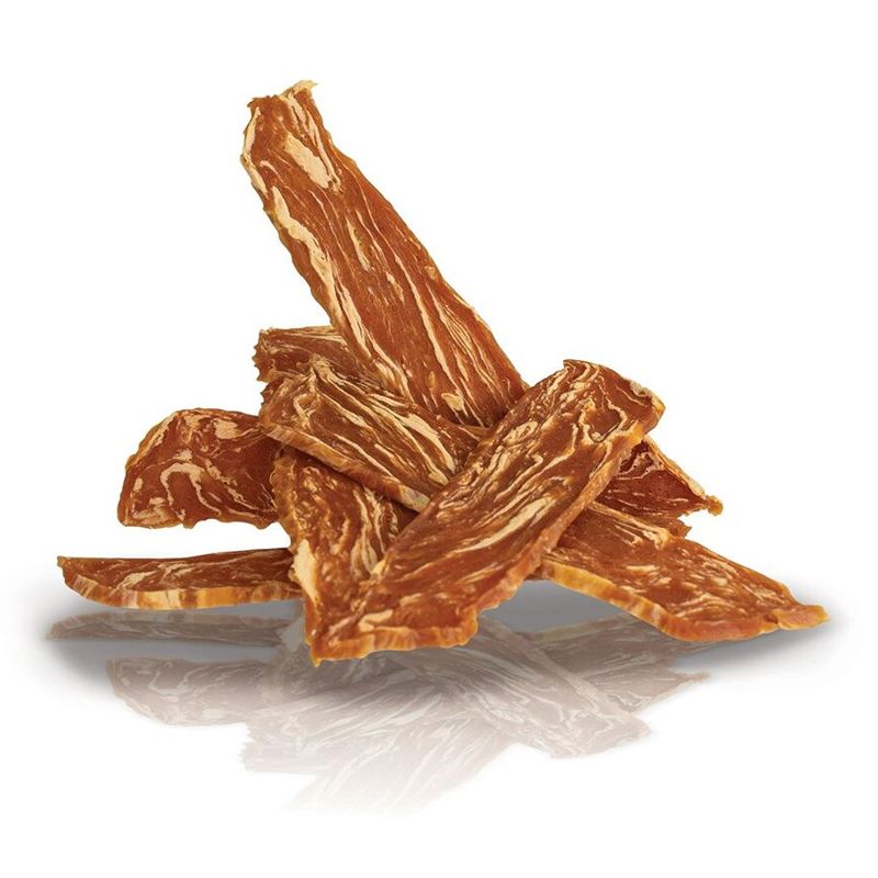 Kid Dog Lososový steak trakice 500 g