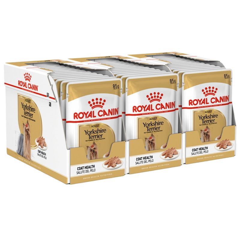 ROYAL CANIN Yorkshire Loaf konzerva s paštetom za jorkširskog terijera 36 x 85 g