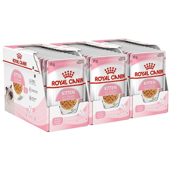 Royal Canin Kitten Instinctive Jelly konzerva za mačiće u želeu 36 x 85 g