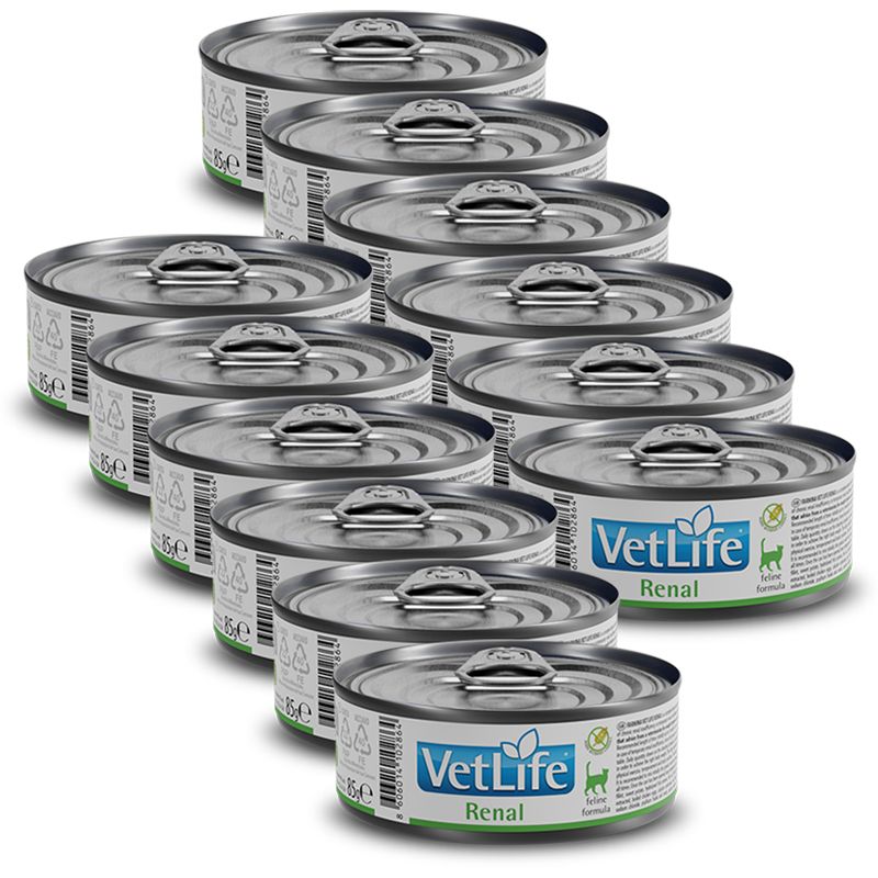 Farmina Vet Life Renal Feline 85 g