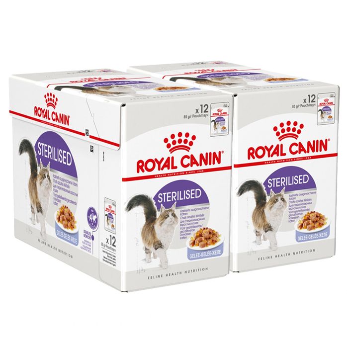 Royal Canin Sterilised Jelly konzerva za sterilizirane mačke u želeu 24 x 85 g