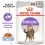 Royal Canin Sterilised Jelly konzerva za sterilizirane mačke u želeu 36 x 85 g