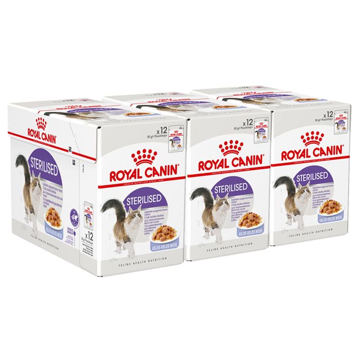 Royal Canin Sterilised Jelly konzerva za sterilizirane mačke u želeu 36 x 85 g
