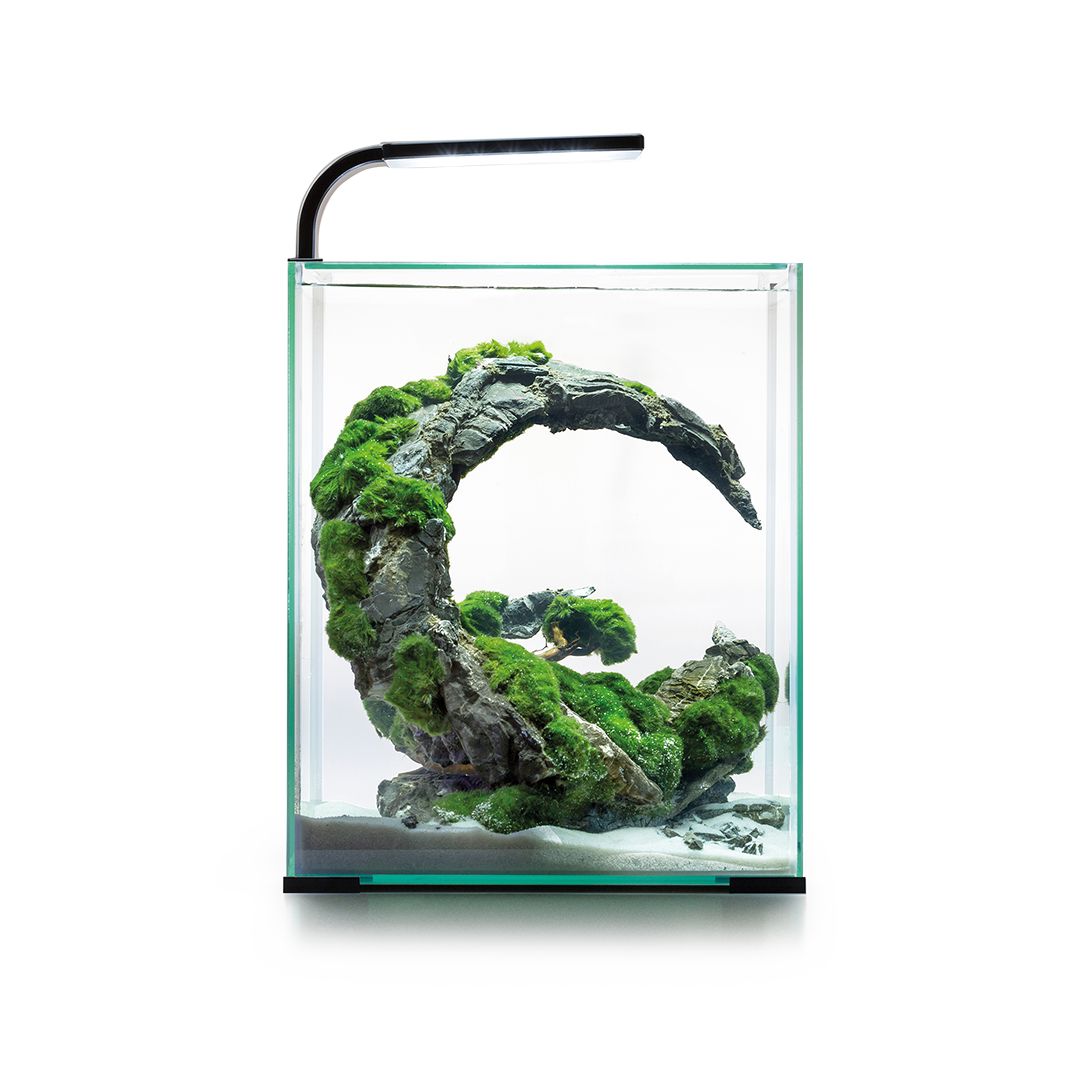 AQUAEL SHRIMP SET SMART D&N 30 CRNI