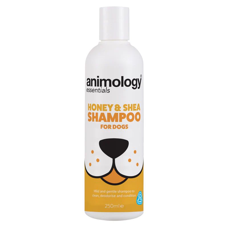 Animology Essentials Honey & Shea šampon za pse 250 ml