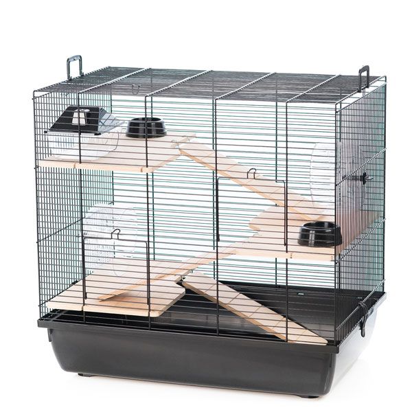 Kavez za glodavce REX III + Wood 58 x 38 x 55 cm CRNA