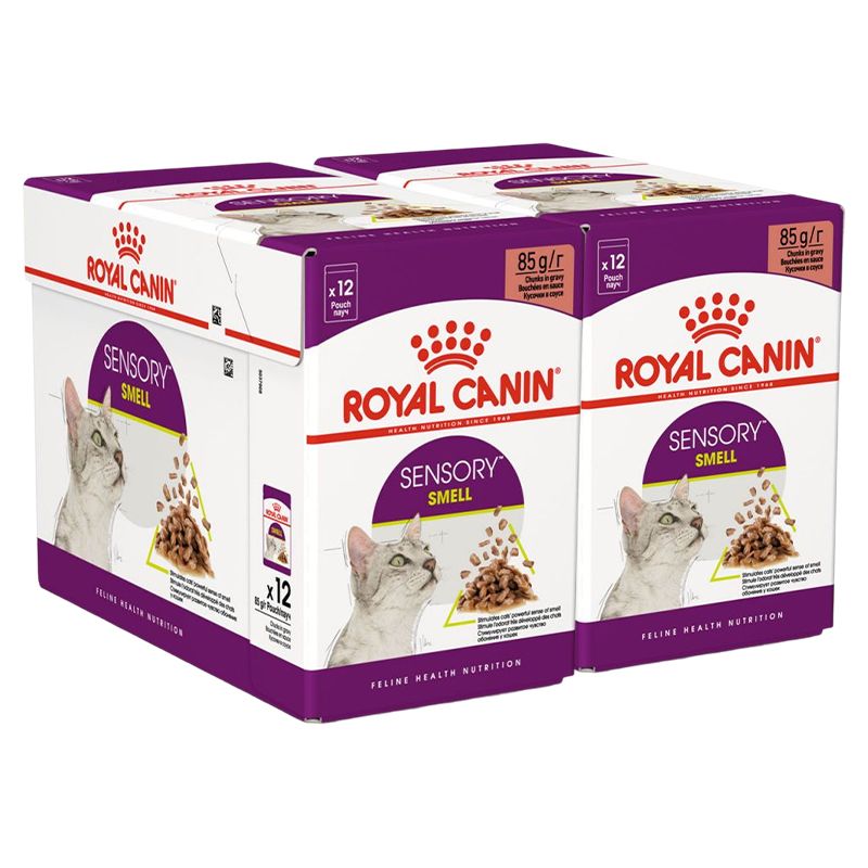 Royal Canin FHN Sensory Smell Gravy 24 x 85 g