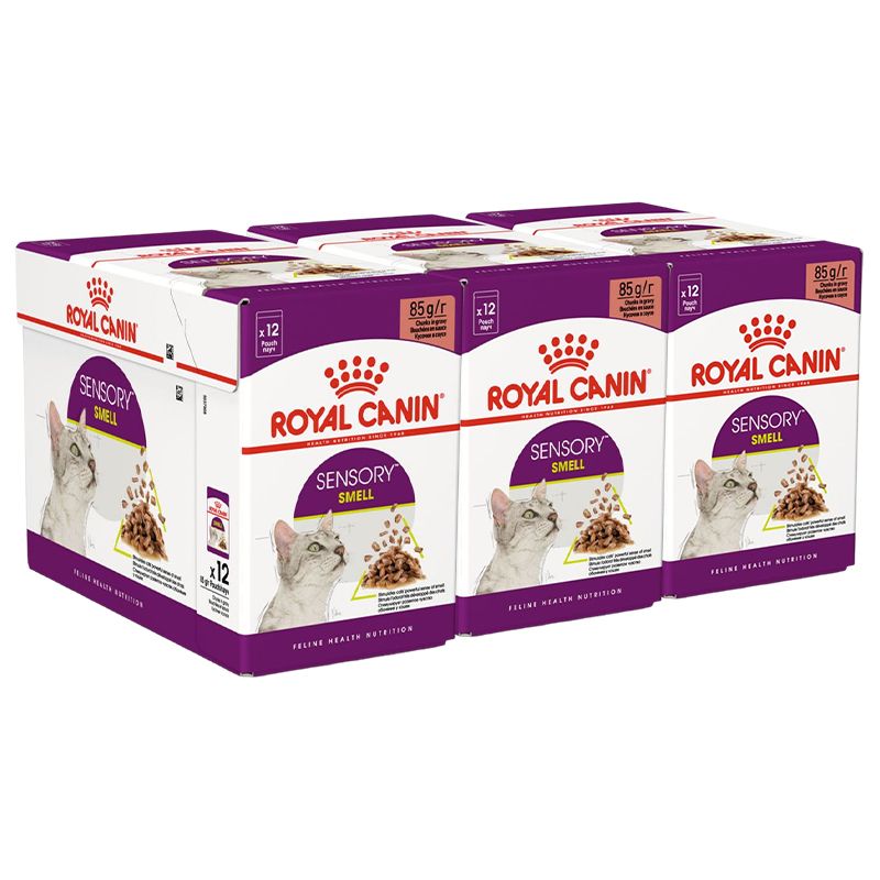 Royal Canin FHN Sensory Smell Gravy 36 x 85 g
