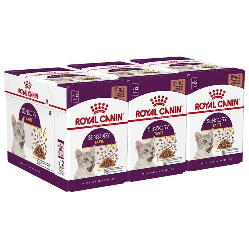 Royal Canin FHN Sensory Taste Gravy 36 x 85 g
