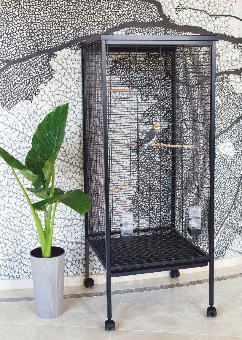 Kavez za ptice Big Bird Cage Modern - 60 x 60 x 151,5 cm