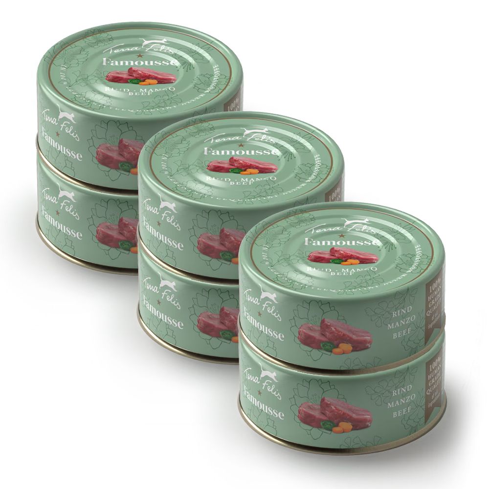 Terra Felis Beef 6 x 80 g
