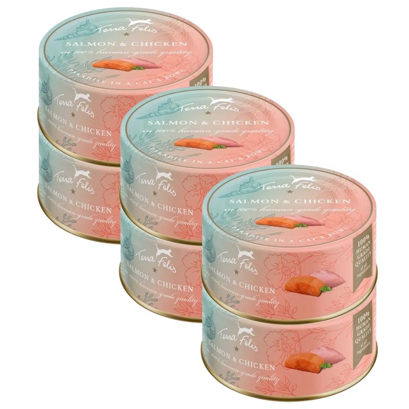 Terra Felis Salmon & Chicken 6 x 80 g