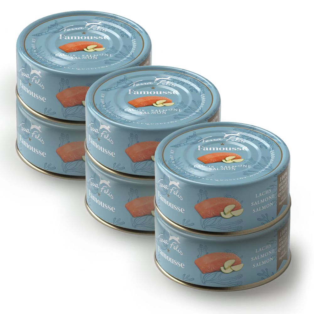 Terra Felis Salmon 6 x 80 g