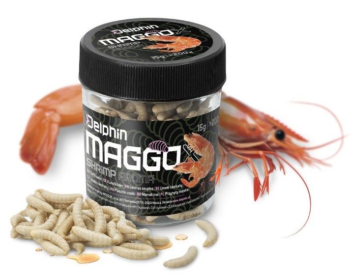 Delphin MaggoX Pop Up / Kozica