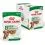 Royal Canin Dog Mini Ageing pa&scaron;teta u umaku 12 x 85 g
