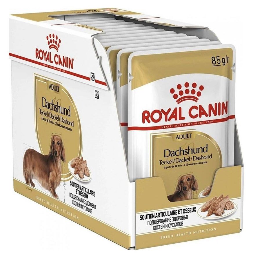 Royal Canin Dog Dachshund in Loaf pašteta 12 x 85 g