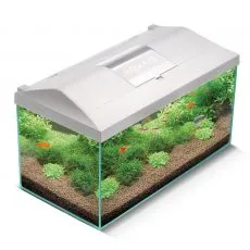 Akvarijski set Aquael LEDDY PLUS 60 D&N bijeli 54 l