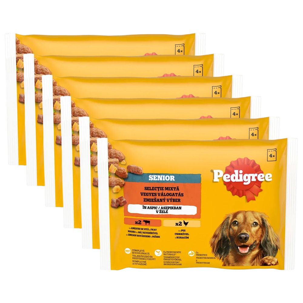 Pedigree Senior Mješani izbor u želeu 6 x (4 x 100 g)