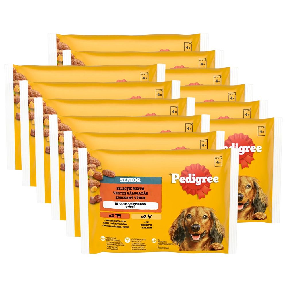 Pedigree Senior Mješani izbor u želeu 12 x (4 x 100 g)