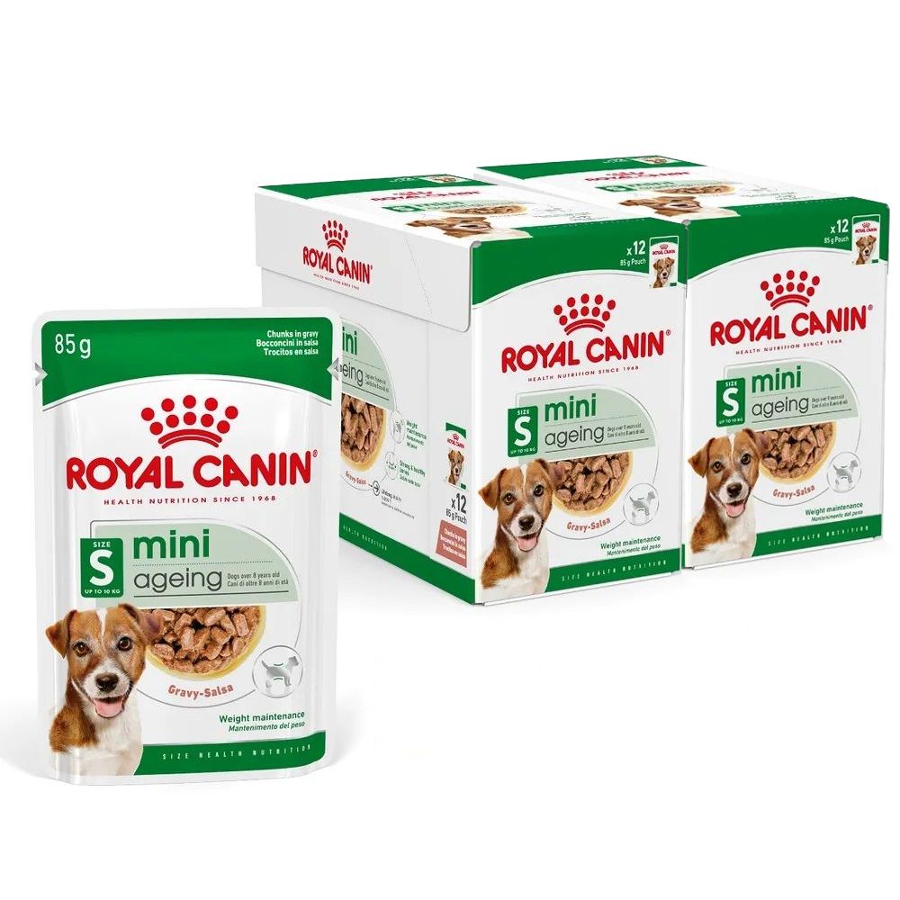 Royal Canin Dog Mini Ageing pašteta u umaku 24 x 85 g