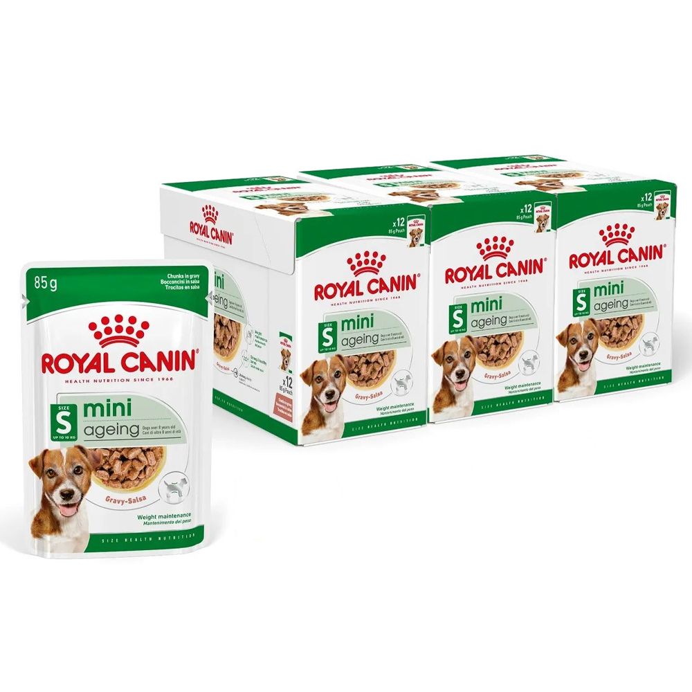 Royal Canin Dog Mini Ageing pašteta u umaku 36 x 85 g